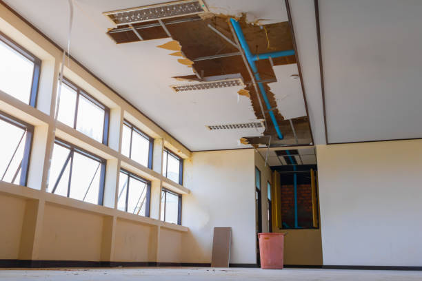 Best Sewage cleanup and water damage restoration  in Bartlett, TN