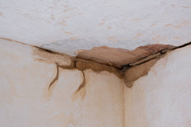  Bartlett, TN Water damage restoration Pros