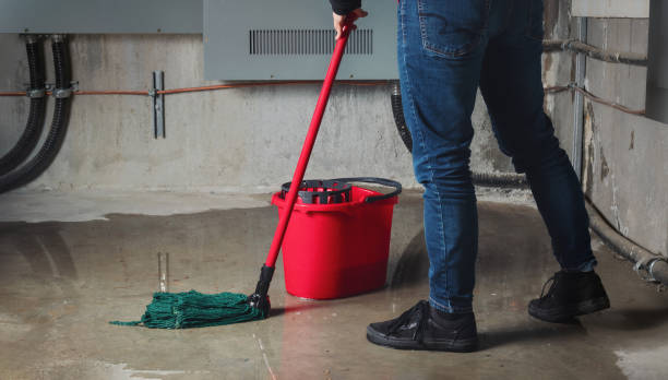 Best Emergency water damage restoration  in Bartlett, TN
