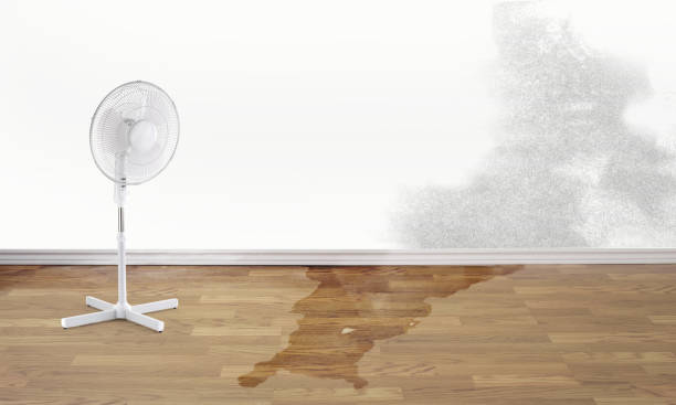 Best Local water damage restoration  in Bartlett, TN