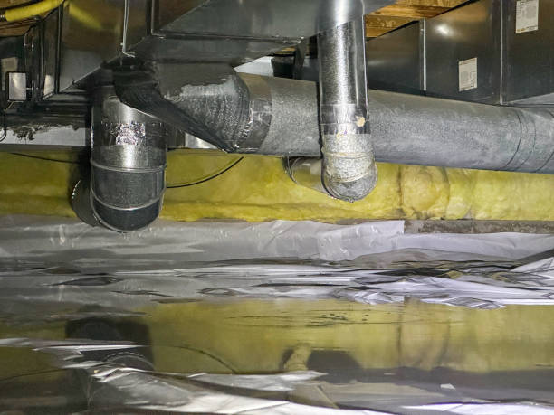 Best Water damage contractors near me  in Bartlett, TN