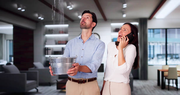 Best Ceiling water damage repair  in Bartlett, TN